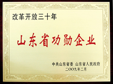 安徽省功勋企业